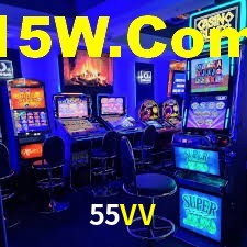 Premium Interface 55VV