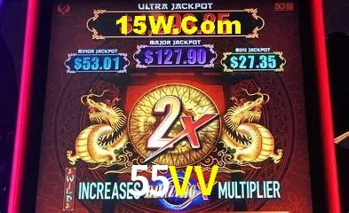 Sistemas de Segurança 55VV